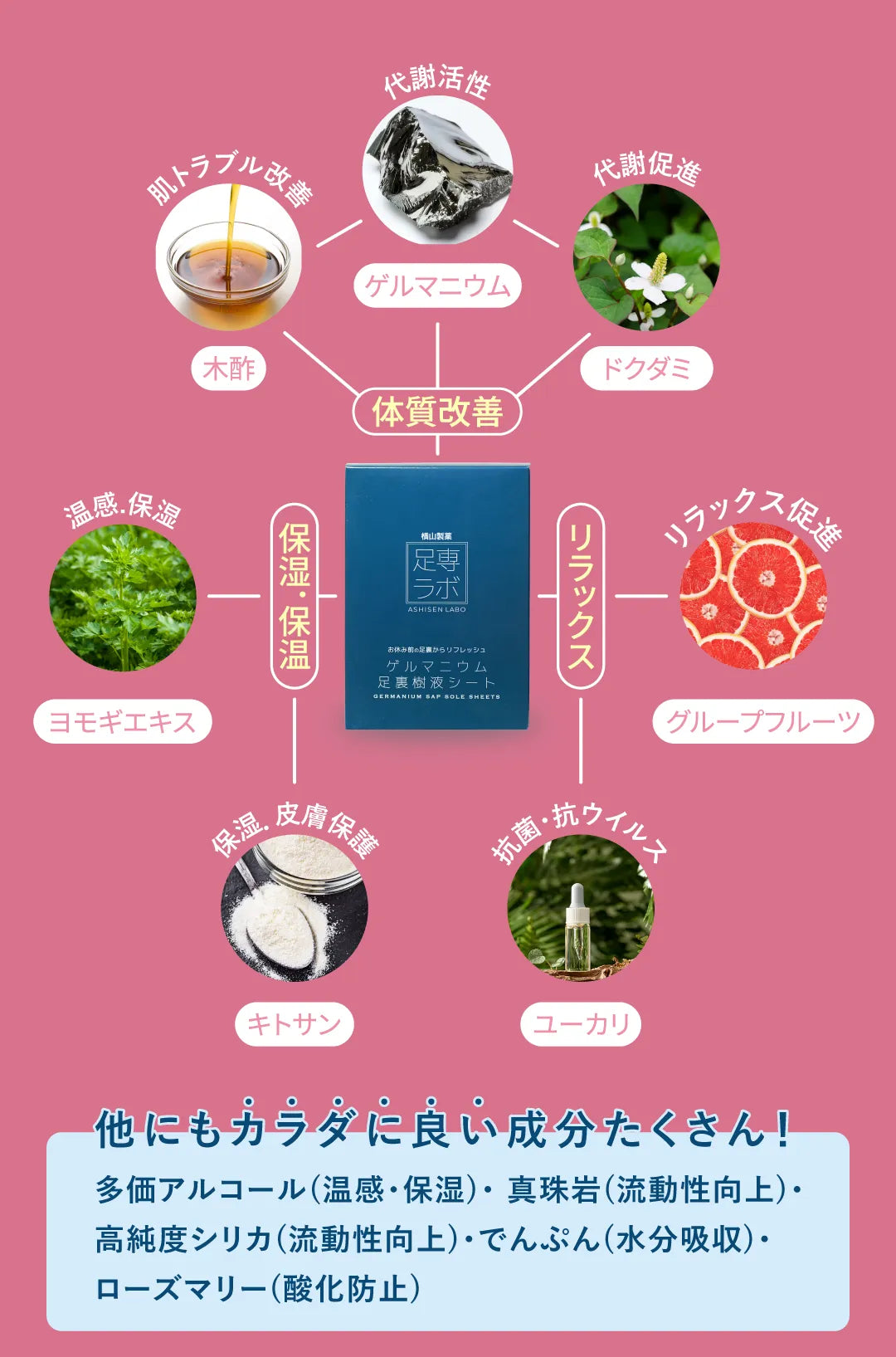 成分の相関図